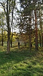 IMG_20171014_160336