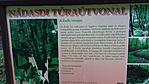 20170929_141136