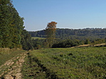 DSC06466