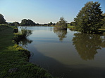 DSC06499