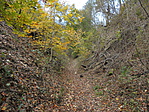DSC07640