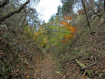 DSC07639