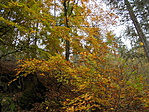 DSC07637