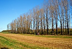 gcbto-PA240410