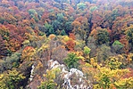 gccszi-IMG_5005