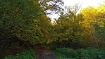 20171015_101127