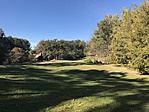 IMG_6421