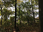 IMG_2496
