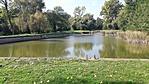 20171001_130553-1066x600