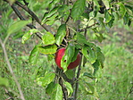 J11_4819