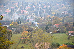 DSC_0184