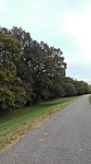 IMG_20171004_165726