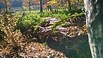 WP_20171020_029