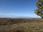 IMG_4391