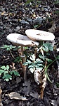 20171001_144935