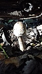 20171001_154001