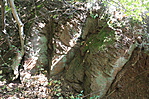 Mecsek 123