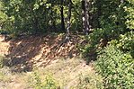 Mecsek 132
