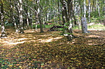 2017.10.14. Bükk 095