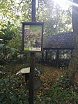 IMG_20171012_113113_resized_20171012_061212745