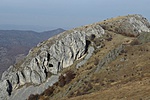 IMG_3319a