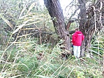 IMG_20171008_120024-1280x960