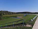 Innen jött: Városerdő