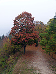 P1070214