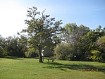 IMG_1501