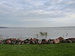 Cimg0618