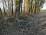 IMG_20171104_152134