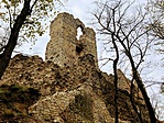 IMG_7751