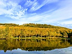 IMG_7764