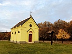 IMG_7776