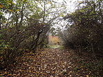 Királyi panoráma 001