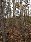 Királyi panoráma 002