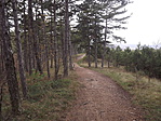Királyi panoráma 003