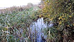 4263. Biai madárles és halastó (GCbima) (2)