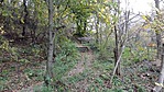 4263. Biai madárles és halastó (GCbima) (3)