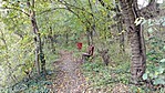 4263. Biai madárles és halastó (GCbima) (10)