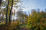 _DSC0797