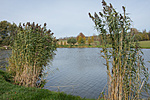 _DSC0818