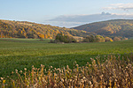 _DSC0997