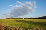_DSC0998
