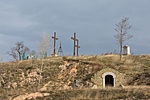 _DSC1254