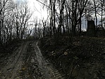 IMG_20171125_105043