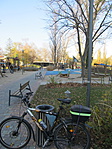 IMG_7077