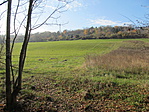 IMG_7234