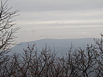 IMG_7142