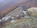 IMG_7149